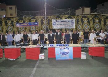 الحلاوجة بطلاً لدورى مستقبل وطن بأبوالمطامير 