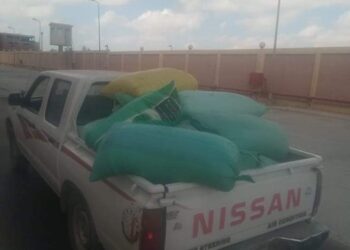 ضبط ما يقارب من طن