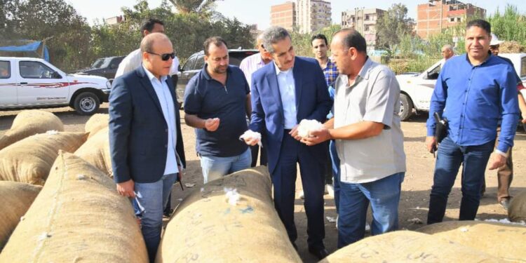 محافظ الغربية يتفقد بدء أعمال رصف طريق طنطا بسيون بطول 23 ك