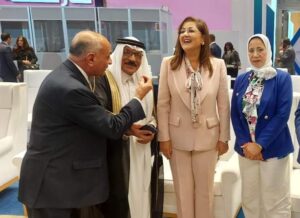 رئيس الوزراء يشارك فى