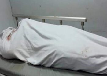 جريمه قتل بقريه الاحمديه بمدينه الحامول