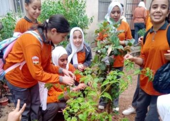 اتحضر للأخضر