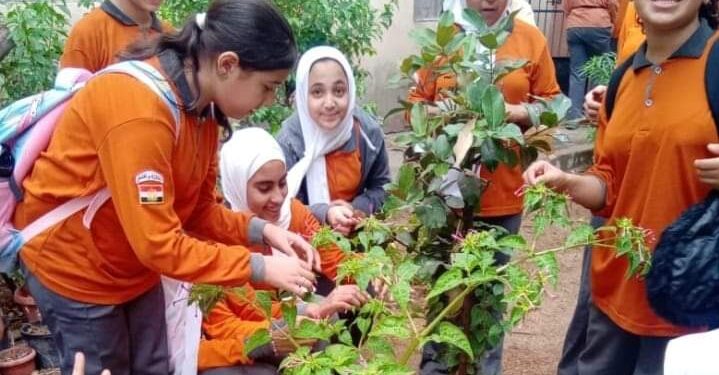 اتحضر للأخضر