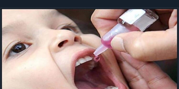 حملة تطعيم بالمجان بالقاهرة والجيزة غدا الأحد