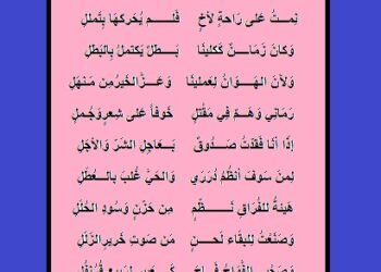 أمراً وليس فضلاً وإن من يأمره الدَّمع يحسن الطاعة والسمع