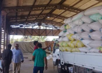 توريد 52678 طن أرز لشون المحافظة حتى اليوم