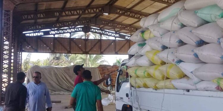 توريد 52678 طن أرز لشون المحافظة حتى اليوم