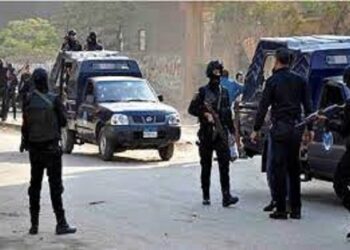 قبل احتفالات رأس السنة.. الداخلية تضبط 18 كيلو بانجو في الأقصر