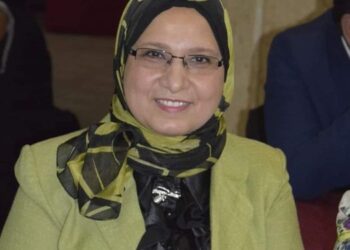 الأستاذ الدكتور