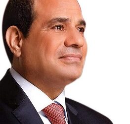 محافظ الغربية يهنئ الرئيس