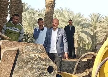 رصد وإزالة 7 حالات تعدى بالبناء المخالف بابشواي