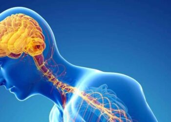 الدوبامين وتأثيراته على جسم الإنسان