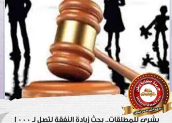 زيادة نفقة المطلقات ل1000جنيه