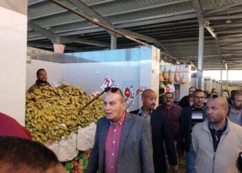 لجنة لمتابعه الأسواق وتوفير السلع بالبحر الأحمر