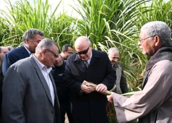 محافظ قنا يتفقد أول حقل إرشادي لزراعة محصول قصب السكر