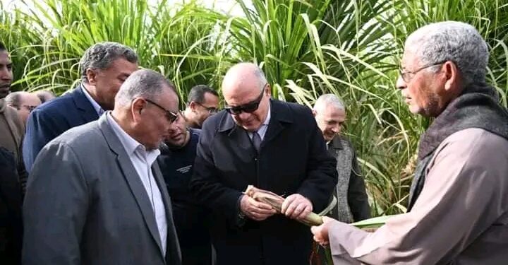 محافظ قنا يتفقد أول حقل إرشادي لزراعة محصول قصب السكر