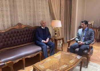 وزير الشباب والرياضة يبحث مع وزيرا التربية والتعليم والثقافة عدد من الملفات المشتركة