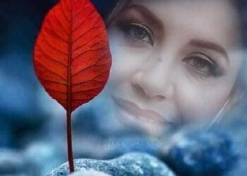 في عيد الحب