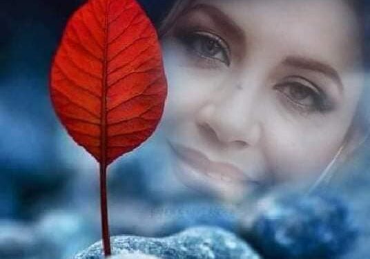 في عيد الحب