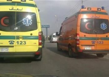 مصرع شخصين وإصابة آخر في حادث انقلاب سيارة بقنا