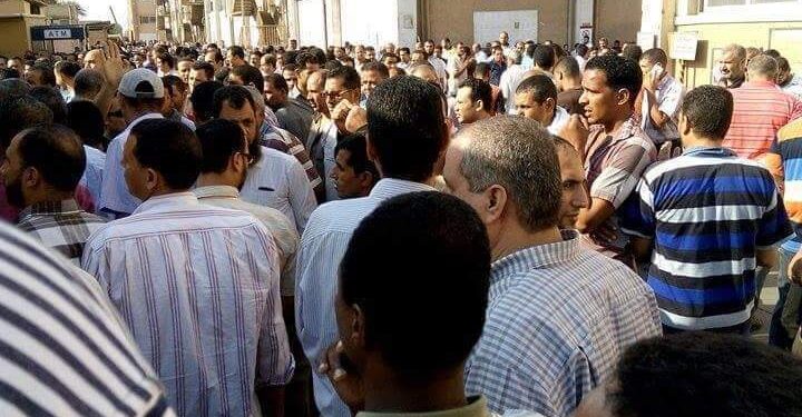 تعرف علي أسباب الإضراب العام لعمال شركة سجاد ماك