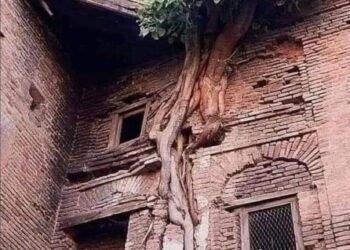 عندما كان هناك رجولة