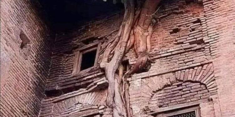 عندما كان هناك رجولة