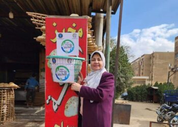 دور علي الخير مابين المجلس القومي للمرأة وسيدات إتحاد الغرف التجاريه