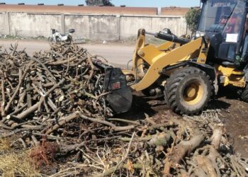 جهاز شئون البيئة بالبحيرة إزالة (٢٤ ) مكمورة فحم عشوائي