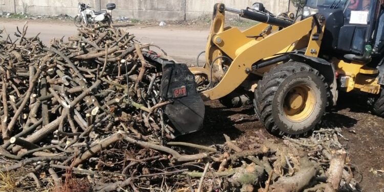 جهاز شئون البيئة بالبحيرة إزالة (٢٤ ) مكمورة فحم عشوائي