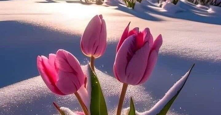 الحياة لحظة