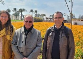 جامعة هليوبوليس تستضيف خبيرا دوليا فى مجال الطاقة والتحكم