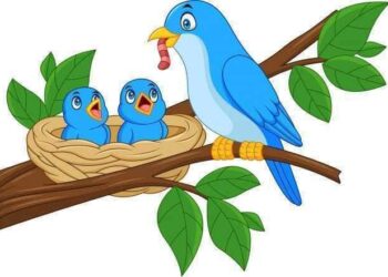 حرية وانطلاق 