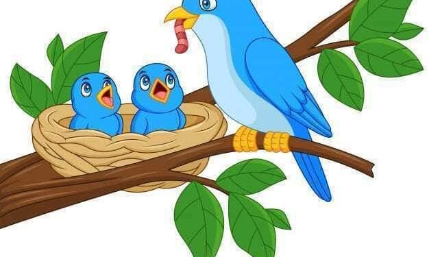 حرية وانطلاق