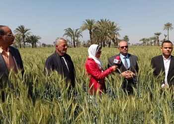 فيلم تسجيلي وثائقي عن النباتات الطبيه والعطريه بابشواي