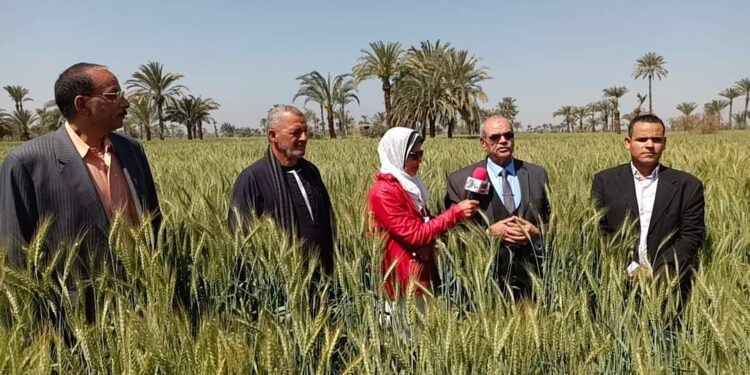 فيلم تسجيلي وثائقي عن النباتات الطبيه والعطريه بابشواي