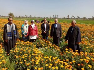 فيلم تسجيلي وثائقي عن النباتات الطبيه والعطريه بابشواي