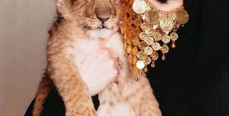 اهاب الطيوف