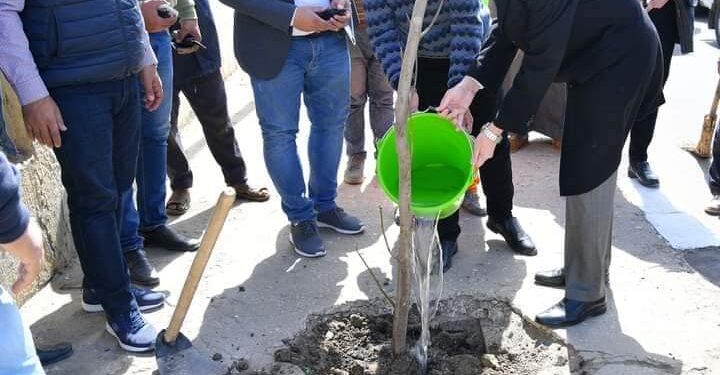 محافظ الغربية يشارك حي أول في زراعة 120 شجرة