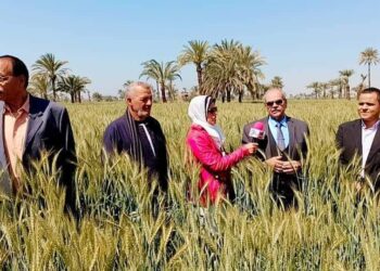 مديرية الزراعة بالفيوم تطبق العياده الزراعية الذكية للتعرف على الآفات والأمراض وعلاجها