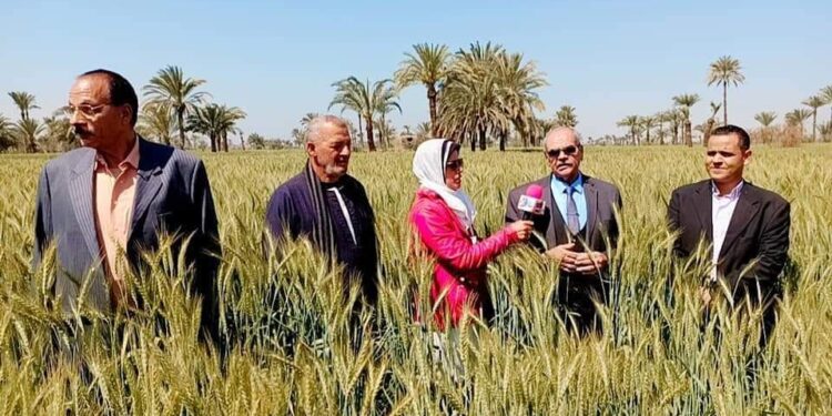 مديرية الزراعة بالفيوم تطبق العياده الزراعية الذكية للتعرف على الآفات والأمراض وعلاجها