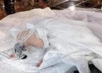 حفل زفاف حسن شاكوش يحتل مركز الصدارة على مواقع التواصل الاجتماعي