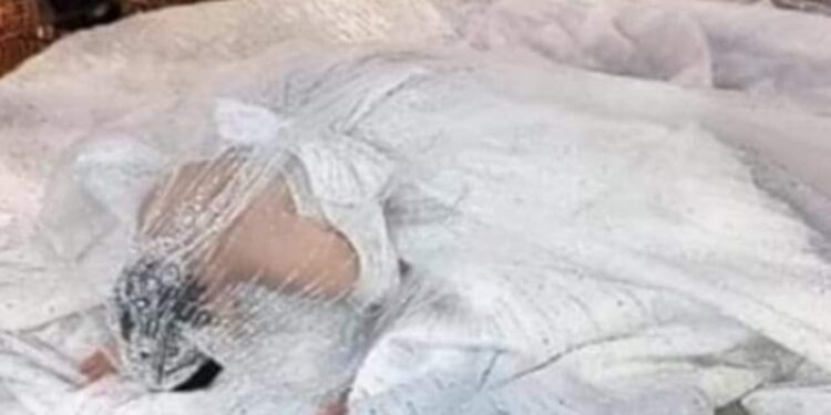 حفل زفاف حسن شاكوش يحتل مركز الصدارة على مواقع التواصل الاجتماعي