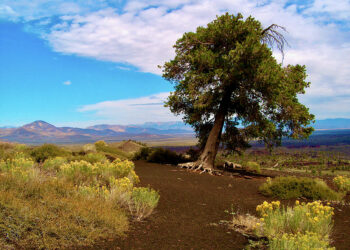 سألت الزمان