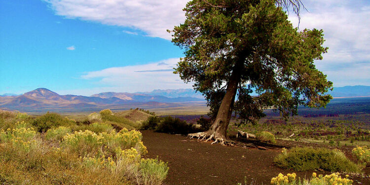 سألت الزمان