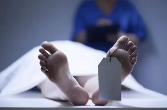 العثور على 3 جثث داخل فندق شهير في الإسكندرية