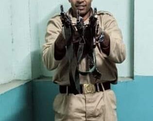 في الإذاعة شايل آلي