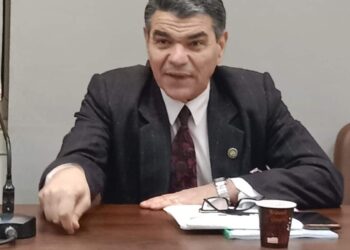 نورس كل صباح يتجدد