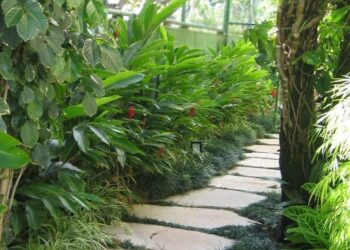 كل شئ اتغير