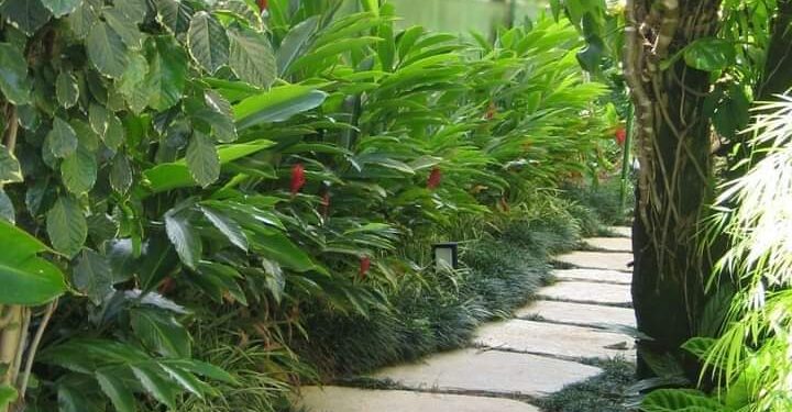 كل شئ اتغير